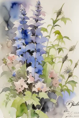 Watercolour of delphiniums in the style of willem henraets