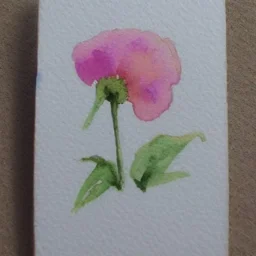 tiny watercolor of single long stem pressed flower, etsy, white parchment