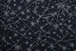 Тёмная ткань, цвета ночного неба, была расшита призрачными серебряными нитями, мерцавшими, как звёзды