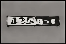 1213 ACAB