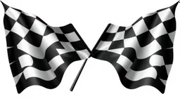 2 checkered finishing flags crossed , black and white vector