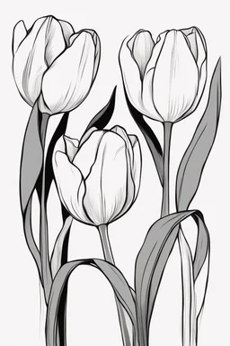 outline art for Spring: Tulips , White background. sketch style, clean line art, white background, no shadow and clear