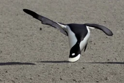 penguin flying in the sky with his two wings