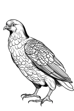 pigeon coloring, cartoon style, thick lines, low detail, black and white, no shading, wide shot