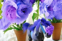 purple peonies and blue ponies