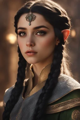 beautiful elf girl, with long black braid, dressed in diplomatic attire