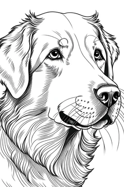 A line art of dog (Golden Retriever). make this black and white and a little bit filly.