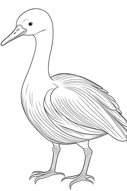 a graceful albatross, perfectly adapted to the harsh Antarctic climate, clean line art, monochrome, for kids coloring book, white background