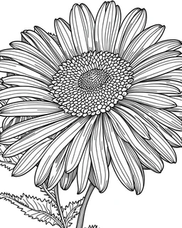 real massive Daisy flower coloring page