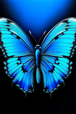 The cover of the album is a song in the shape of a bright blue butterfly