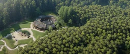 top view that warm, a huge library in forest with fireflies around trees that have wide leaves and broad trunked. Realistic.