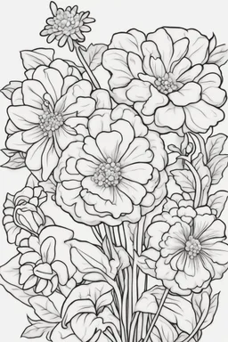 flowers coloring page for kids, cockscomb, cartoon style, thick outline, low details, no shading, no color