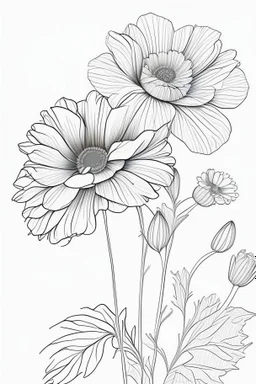 outline art for cute flower coloring pages with which, White background. sketch style, clean line art, white background, no shadow and clear