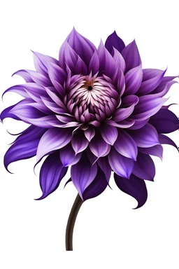 PURPLE flower VECTOR illustration defined and detailed with white background