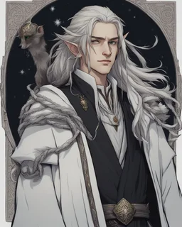 a young High Elf frost Wizard with long wiry hair, wearing a black trimmed white nobleman's robe and frost ornaments on clothes, with a small weasel on his shoulder