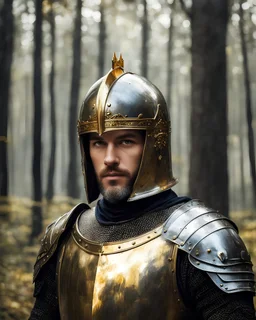 Potrait shot, Medieval knight, helmet, action pose, wearing a golden crown, forest at background, oil painting style