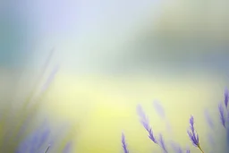 Sapphire Serenade, meadow green, lavender, gold, smooth gradient color transition, evoking serenity. Background photography, close-up, blurred effect, gradient harmony, visual tranquility, airy lightness, gentle shifts, minimalist appeal