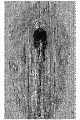 a binary life replaces the technicolor of nature with black and white; Expressionism; Dada