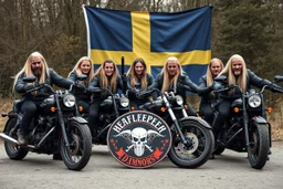 a very hard and tuff motorcycle young gang with long blond Sweden viking hair, not old, posing with their Harley Davidsson bikes, some of them holding guns and shotguns, a logo sign with Falköpings HD Club, "Fearless sinners" Skulls and bones, skeletons and fire, Sweden vikings DEMONS, Swedish flag