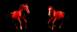2 horses running towards the viewer, the left side horse veering to the left, the right side horse going to the right. red tones, black background