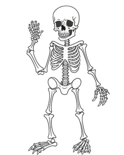 outline art for halloween coloring pages for kids with cartoon cute happy skeleton , white background, Sketch style, full body, only use outline, clean line art, white background, no shadows and clear and well outlined, coloring page for kids,