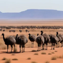 Now, let's talk about the "Great Emu War." Picture this: the vast Australian outback, a land of harsh beauty and untamed wilderness. In the distance, a horde of giant, menacing emus march relentlessly across the dusty plains, their beady eyes fixed on their target.
