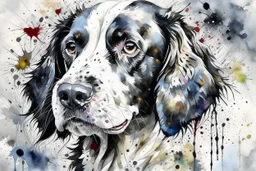 A portrait of a springer spaniel by Willem Haenraets, loose watercolour, wet on wet and splattering and dripping techniques, centred, perfect composition, abstraction, colours of grey and cream