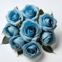 Several light blue roses, arranged next to each other of varying sizes, in the form of a quarter-circle arc, starting from a small rose, and the middle being medium and large sized roses, and at the end, small roses.