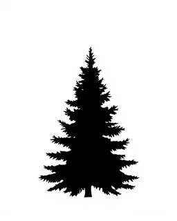 isolated spruce/pine tree silhouette, simplified black on white clipart