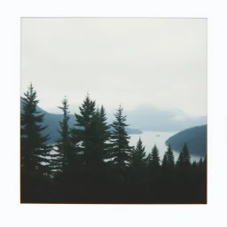 A polaroid photo of a group of fir trees and high mountains in the distance. A lake. Odd dark person. Fog is present.