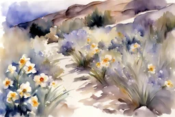 Landscape with night, mountains, flowers, rocks, john singer sargent watercolor paintings