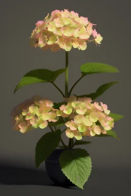 an isolated translucent hydrangea plant, 3d render, art nouveau style, ultra realistic, masked transparent flat background, backlight, popular on sketchfab, pixelsquid, 8k, volumetric lighting, super focused, no blur, trending on artstation, octane render, ultra detailed, hyperrealistic, by artgerm and alphonse mucha