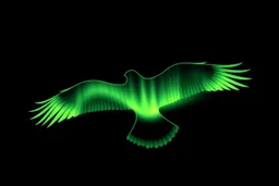 graphic shape of the aurora borealis with bottom edge resemblance to an hawk in flight. smooth vector on black