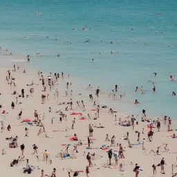 people on beach