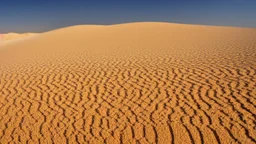 sands of the desert