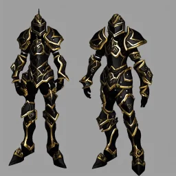 Black gold armour paladin