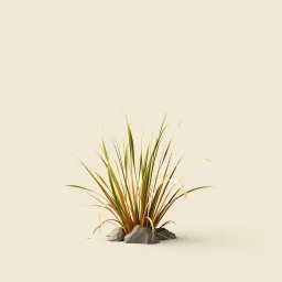 concept art of low poly stylized alien dry single leaf grass on a plain neutral background.