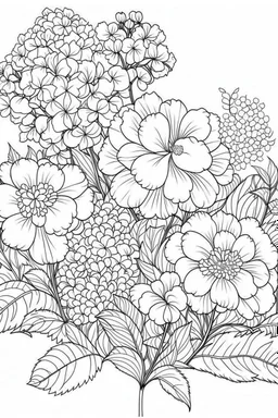 Outline art for coloring page, FULL PAGE OF A GARDEN OF HYDRANGEA FLOWERS, coloring page, white background, Sketch style, only use outline, clean line art, white background, no shadows, no shading, no color, clear