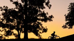 Silhouette of a lone rider on the green hill at sunrise