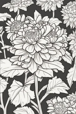 flowers coloring page for kids, ASTER, cartoon style, thick outline, low details, no shading, no color