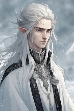a young high elf frost Wizard with long wiry hair, wearing a black trimmed white nobleman's robe and frost ornaments on clothes