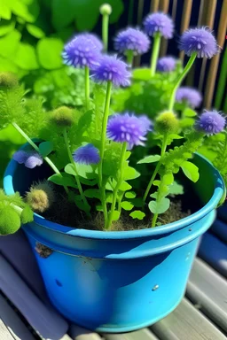 Book cover, Ageratum flowers in a bucket, in a garden, toddlers style,