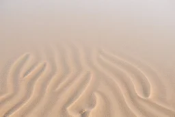 rippled beach sand