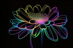 black background, outlines of a beautiful holographic flower, drawn from thin neon-coloured glowing lines