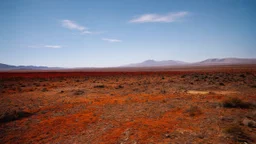 Beauty in Desolation