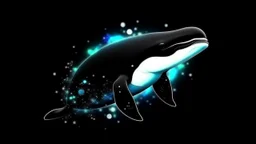 picture of pretty killer whale on space background