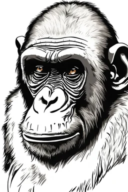 Hand drawing of a boring ape