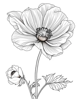 real massive only Anemone flower, coloring page, no leaves, full body (((((white background))))), only use an outline., real style, line art, white color, clean line art, white background, Sketch style