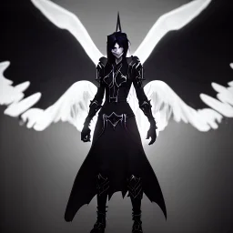 angel, demon, angel demon hybrid, half angel, half demon, black angel wings, white demon wings, black and white, balance, horns, armor, noble clothes, black and white armor, black and white clothes