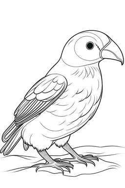 coloring book image of a puffin